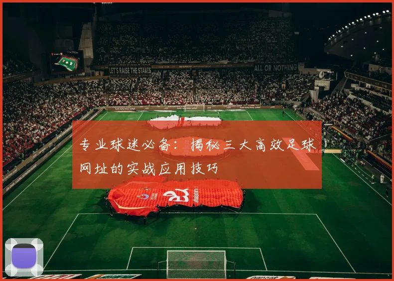 专业球迷必备：揭秘三大高效足球网址的实战应用技巧