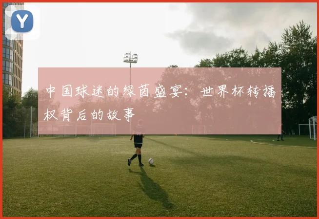 中国球迷的绿茵盛宴：世界杯转播权背后的故事