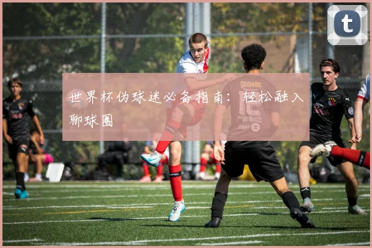 世界杯伪球迷必备指南：轻松融入聊球圈