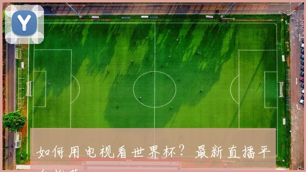 如何用电视看世界杯？最新直播平台推荐