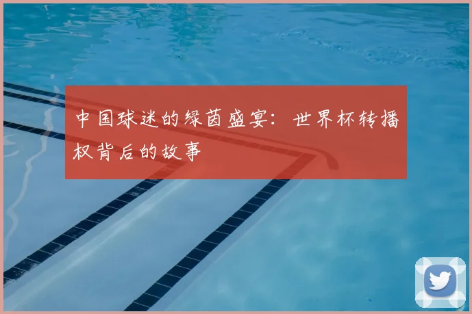 中国球迷的绿茵盛宴：世界杯转播权背后的故事