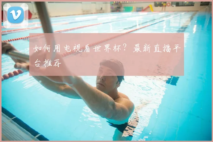 如何用电视看世界杯？最新直播平台推荐