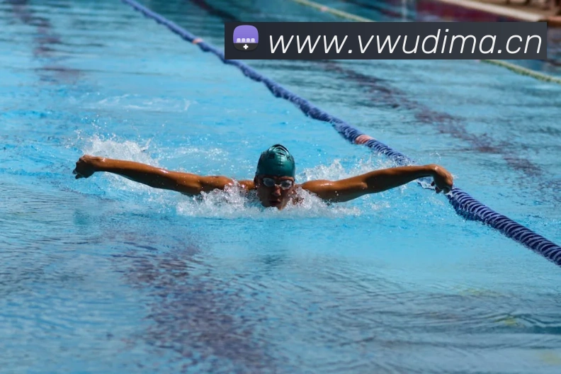 华体app网页版登录入口平台生态图